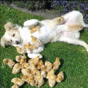 Meet your Posher, Kiley